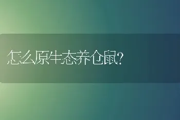 怎么原生态养仓鼠？