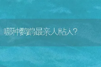 莱州红和罗威纳哪个厉害？