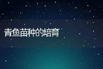 青鱼苗种的培育