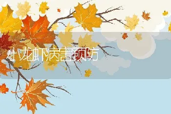 小龙虾病害预防