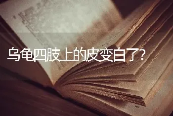 乌龟四肢上的皮变白了？