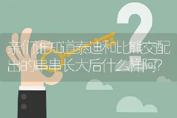 亲们谁知道泰迪和比熊交配出的串串长大后什么样阿？