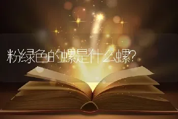 粉绿色的螺是什么螺？