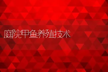 庭院甲鱼养殖技术