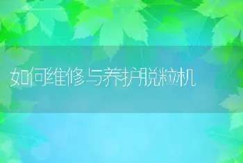 如何维修与养护脱粒机