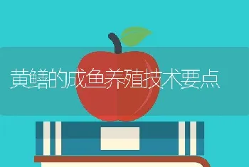 散养笨鸡技术要点