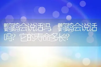 鹦鹉会说话吗，鹦鹉会说话吗？它的寿命多长？