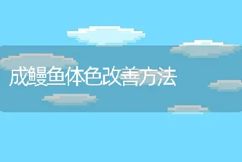 成鳗鱼体色改善方法