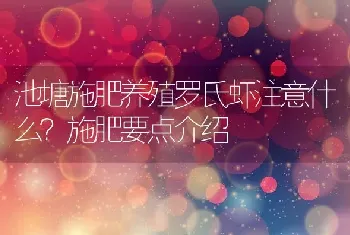 池塘施肥养殖罗氏虾注意什么？施肥要点介绍