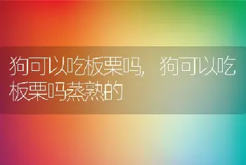 狗可以吃板栗吗，狗可以吃板栗吗蒸熟的