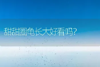 一个月大的雪纳瑞一天拉几次正常？