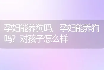 孕妇能养狗吗，孕妇能养狗吗？对孩子怎么样