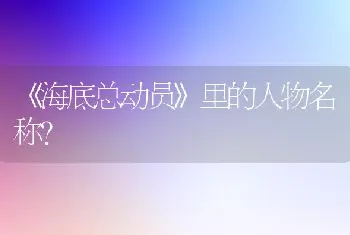 猫咪全身无力站都站不起来一趴就是一整天就是睁着眼睛趴着两个月左右的猫咪我手贱给它洗澡了？