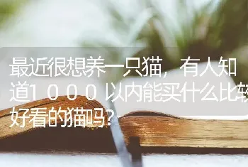 最近很想养一只猫，有人知道1000以内能买什么比较好看的猫吗？