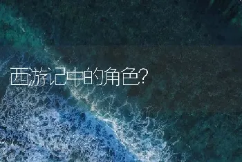 西游记中的角色？