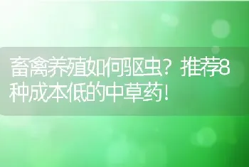 畜禽养殖如何驱虫？推荐8种成本低的中草药！