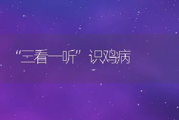 三看一听识鸡病