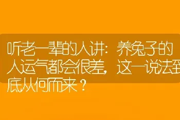 听老一辈的人讲:养兔子的人运气都会很差，这一说法到底从何而来？