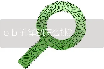 ob孔雀鲷怎么挑？