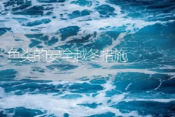 鱼类的安全越冬措施