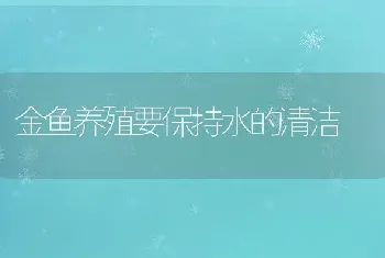 金鱼养殖要保持水的清洁