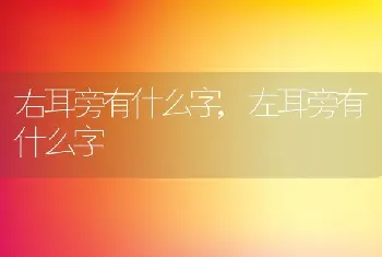 右耳旁有什么字，左耳旁有什么字