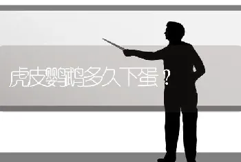 虎皮鹦鹉多久下蛋？