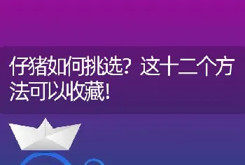 仔猪如何挑选？这十二个方法可以收藏！