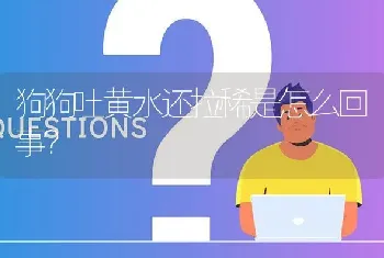 狗狗吐黄水还拉稀是怎么回事？