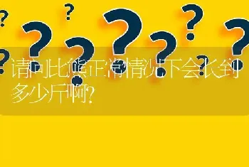 请问比熊正常情况下会长到多少斤啊？