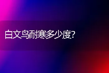 白文鸟耐寒多少度？