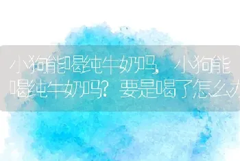 小狗能喝纯牛奶吗，小狗能喝纯牛奶吗？要是喝了怎么办