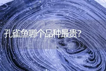 孔雀鱼哪个品种最贵？