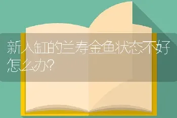 玛丽鱼能和孔雀鱼混养吗？