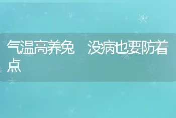 气温高养兔没病也要防着点