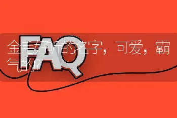 金毛好听的名字，可爱，霸气的？