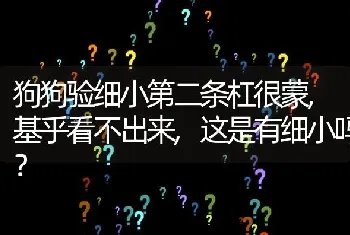 狗狗验细小第二条杠很蒙,基乎看不出来,这是有细小吗？