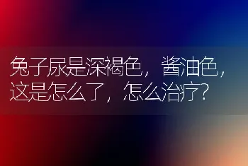 兔子尿是深褐色，酱油色，这是怎么了，怎么治疗？