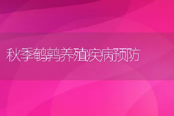 秋季鹌鹑养殖疾病预防