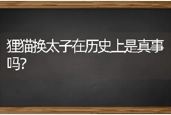 狸猫换太子在历史上是真事吗？