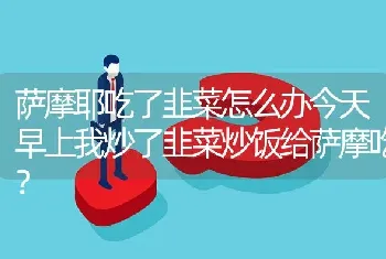 萨摩耶吃了韭菜怎么办今天早上我炒了韭菜炒饭给萨摩吃？