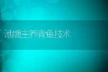 池塘主养青鱼技术