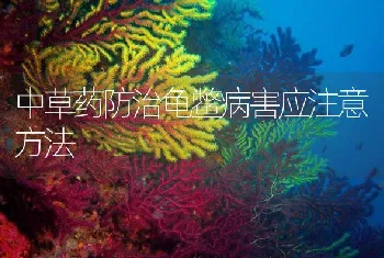 中草药防治龟鳖病害应注意方法