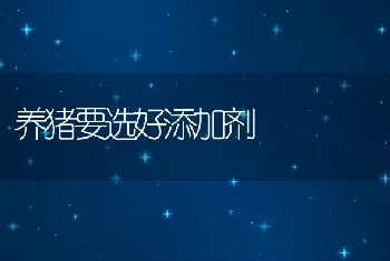 预混辅料发展难题及解决思路