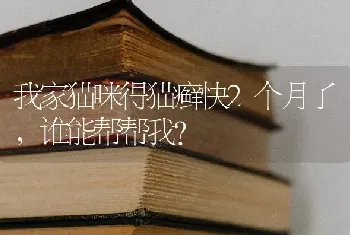 我家猫咪得猫癣快2个月了，谁能帮帮我？