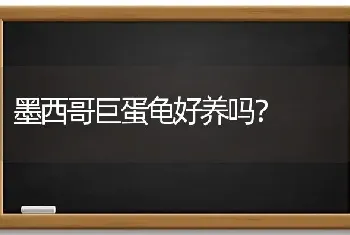 墨西哥巨蛋龟好养吗？