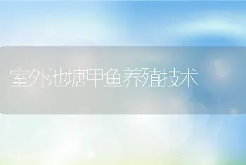 室外池塘甲鱼养殖技术