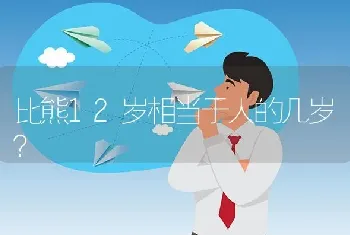 比熊12岁相当于人的几岁？