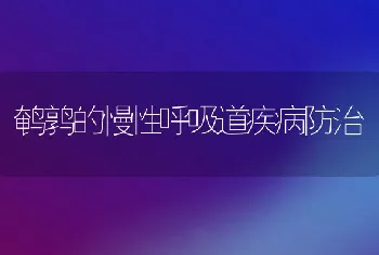 鹌鹑的慢性呼吸道疾病防治