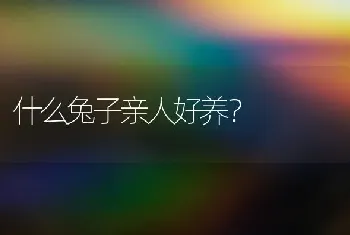 什么兔子亲人好养？